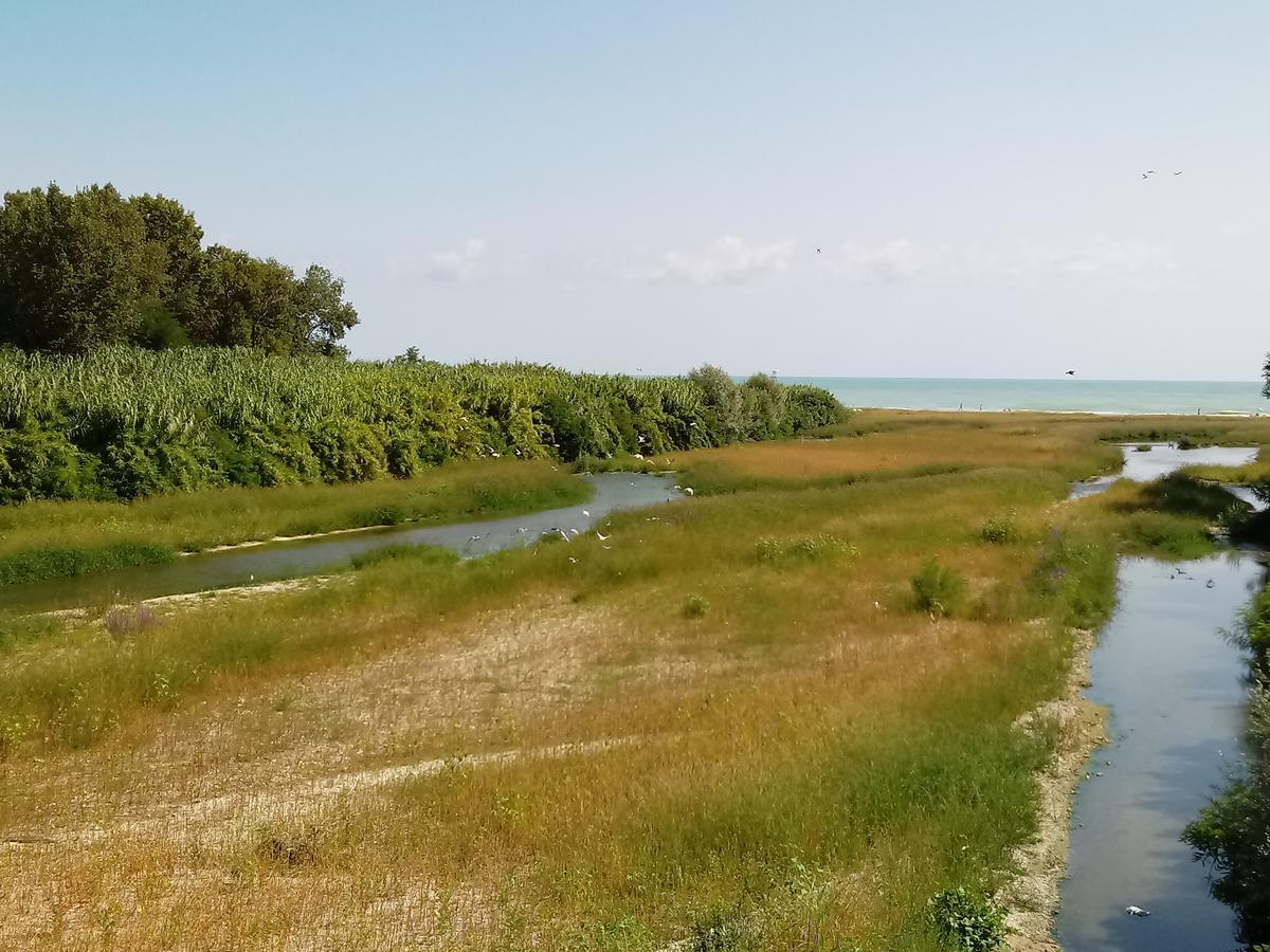 Residenza Corso Baccio Apartment SantʼElpidio a Mare Exterior foto